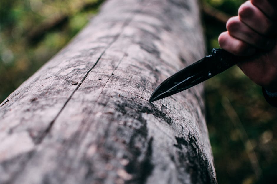 A close-up view of a pocket knife carving into a tree log outdoors.