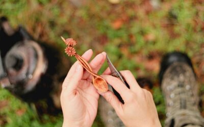 BeaverCraft S01 vs S02 Spoon Carving Set: Which Is Best in June 2026?