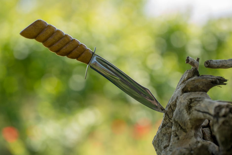 A shiny hunting knife with a wooden handle is embedded in a tree stump outdoors.