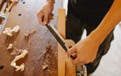 Lie Nielsen vs Narex Chisels: Value Comparison in June 2026